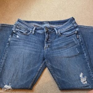 Silver Jeans Co. Super Skinny — Size 32W x 27L